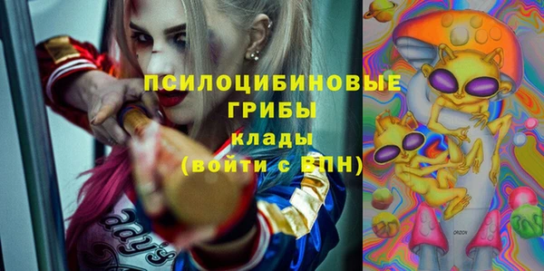 ГАЛЛЮЦИНОГЕННЫЕ ГРИБЫ Абдулино